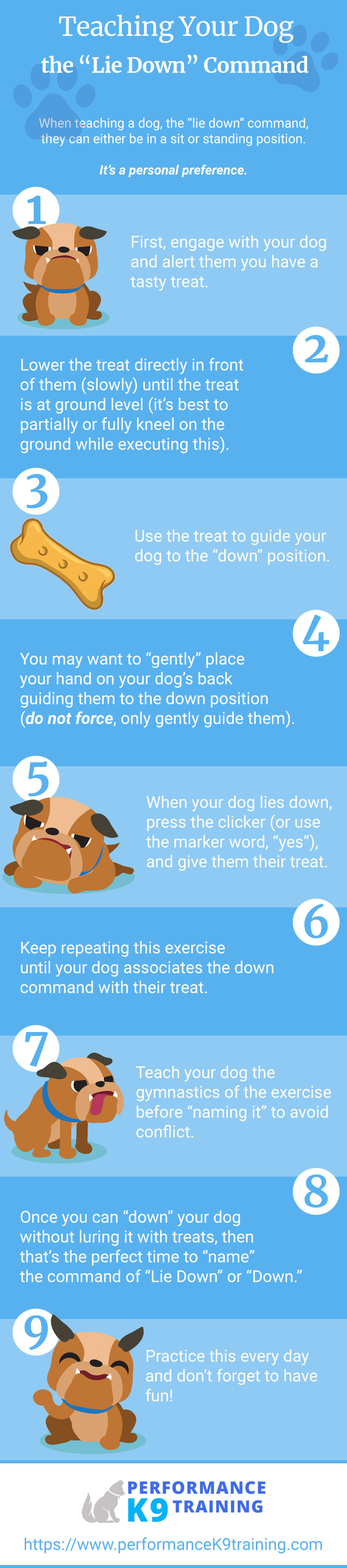 II. Understanding the Importance of Training Your Dog to Lie Down