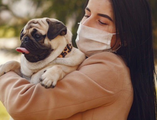 How Pandemic Pups Made A Difference
