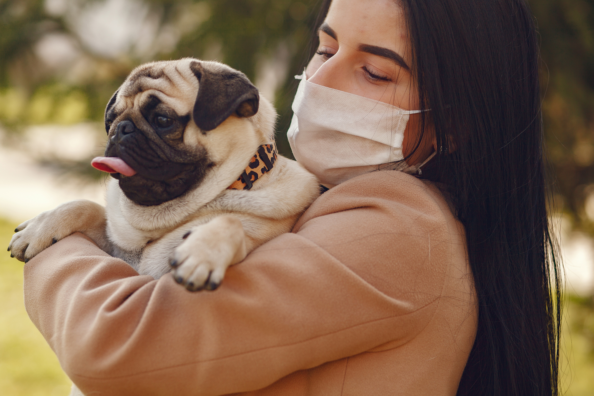 Brunette in a mask walks with pug