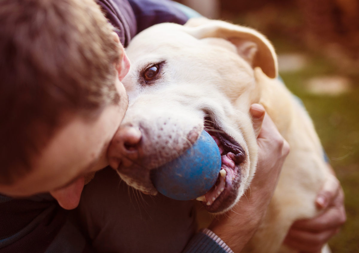 the-different-ways-dogs-help-with-mental-health-performance-k9-training