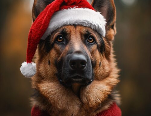 Dog Training Holidays: Preparing Your Dog for Holiday Guests and Stress-Free Gatherings